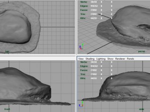 rock 18 Model 3D