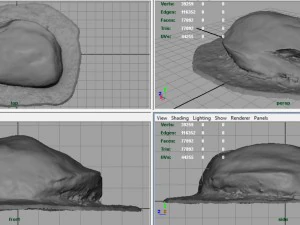 rock 18 3D Model