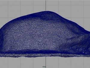 rock 18 Model 3D