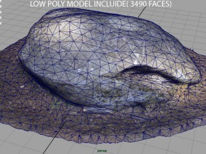 rock 18 Model 3D