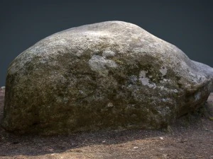 rock 18 3D Model