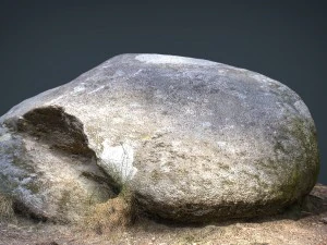 rock 18 3D Model