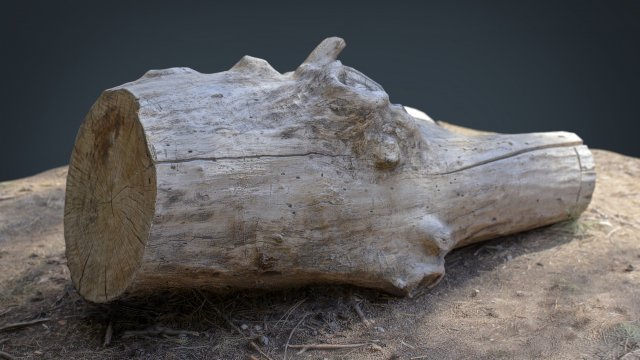 dead trunk 4 3D 모델 .c4d .max .obj .3ds .fbx .stl .blend 