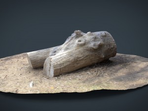 dead trunk 4 3D 모델