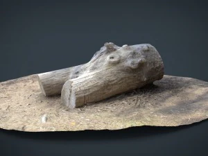 dead trunk 4 3D Model