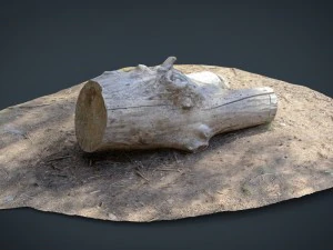 dead trunk 4 3D Model