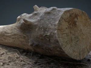 dead trunk 4 3D Model