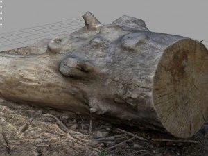 dead trunk 4 3D Model