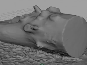 dead trunk 4 3D Model