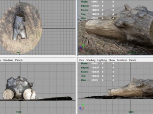 dead trunk 4 3D 모델