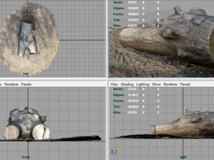 dead trunk 4 3D Model