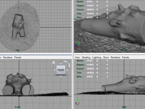 dead trunk 4 3D Model