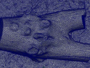 dead trunk 4 3D Model