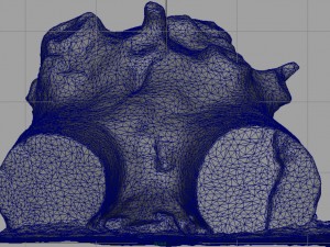 dead trunk 4 3D 모델