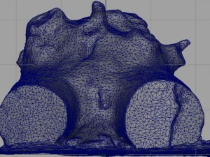 dead trunk 4 3D Model