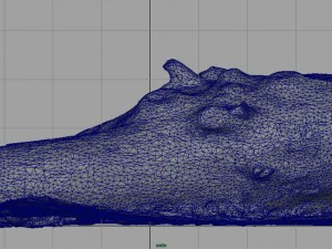dead trunk 4 3D Model