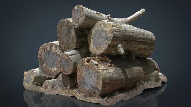 wooden logs 3D 모델 .c4d .max .obj .3ds .fbx .stl .blend 