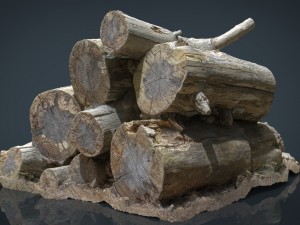 wooden logs Model 3D