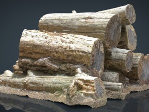 wooden logs 3D 모델