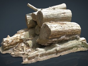 wooden logs 3D 모델