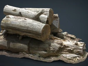 troncos de madera Modelo 3D