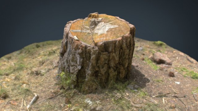 tree stump 3D Model .c4d .max .obj .3ds .fbx .stl .blend 