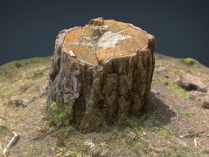 tree stump 3D Модель