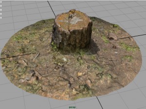 tree stump 3D Model