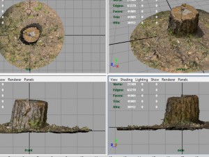 tree stump 3D Model