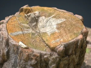 ceppo d'albero Modello 3D