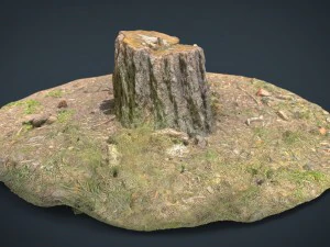 ceppo d'albero Modello 3D