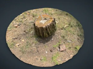 ceppo d'albero Modello 3D