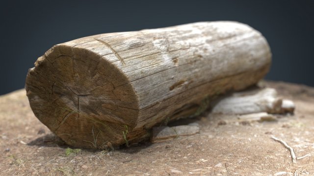 dead trunk 5 3D Model .c4d .max .obj .3ds .fbx .stl .blend 