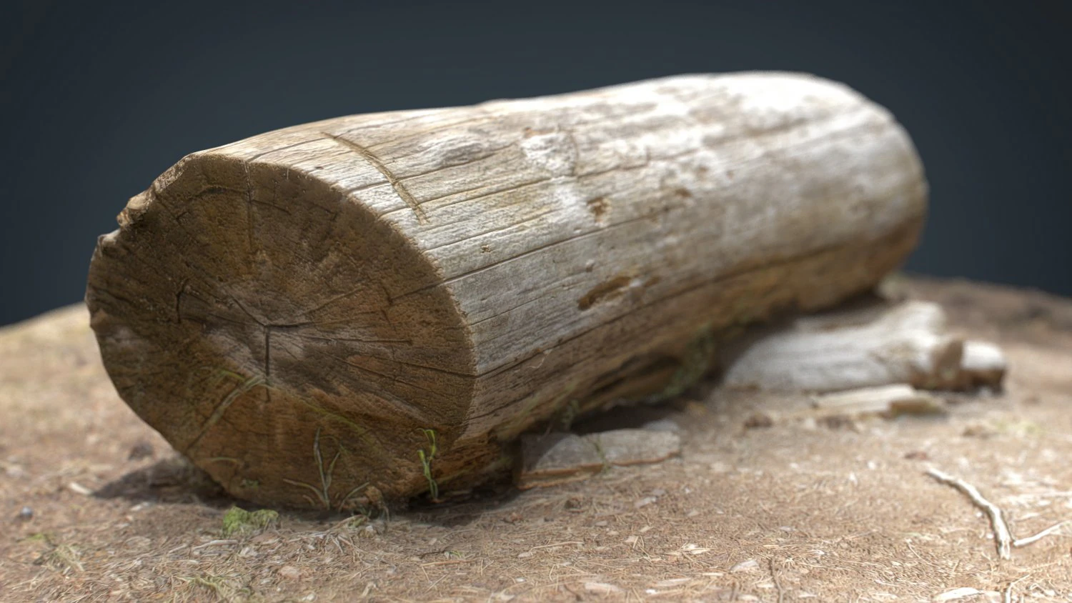 dead trunk 5 3D Model .c4d .max .obj .3ds .fbx .stl .blend 