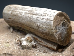 dead trunk 5 3D Model