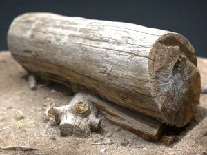dead trunk 5 3D Model
