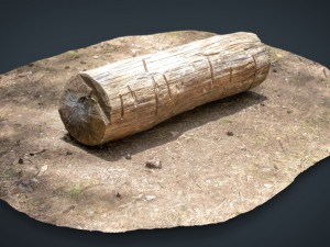 dead trunk 5 3D Model