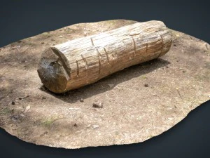 dead trunk 5 3D Model