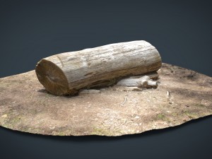 dead trunk 5 3D Model
