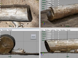 dead trunk 5 3D Model