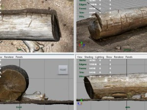 dead trunk 5 3D Model