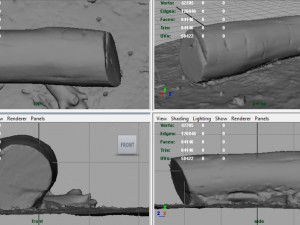 dead trunk 5 3D Model