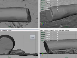 dead trunk 5 3D Model