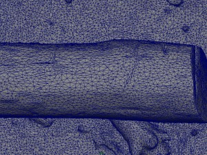 dead trunk 5 3D Model