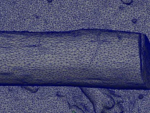 dead trunk 5 3D Model