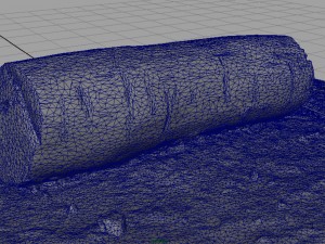dead trunk 5 3D Model