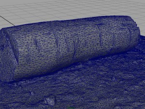 dead trunk 5 3D Model