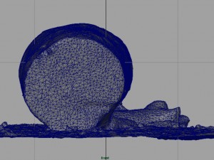 dead trunk 5 3D Model