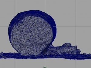 dead trunk 5 3D Model