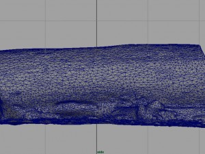 dead trunk 5 3D Model